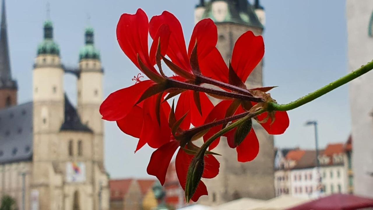 Budget Rooms In Halle With Shared Bathroom, Free Wifi, Netflix & Ipad 外观 照片